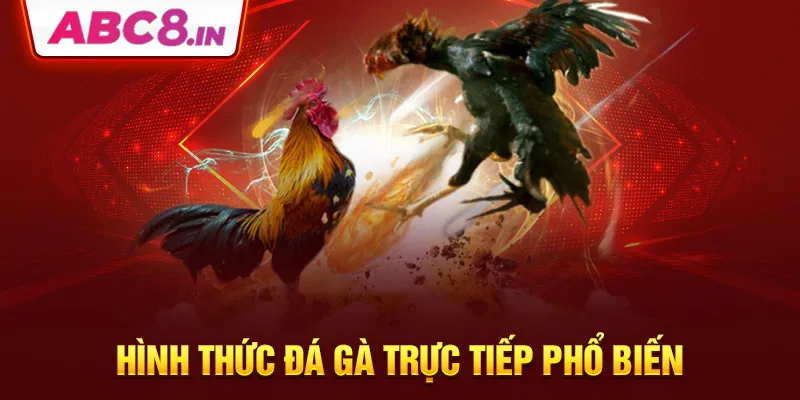 hinh-thuc-da-ga-truc-tiep-pho-bien