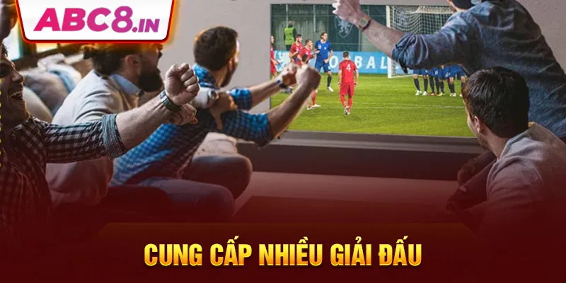 cung-cap-nhieu-giai-dau-