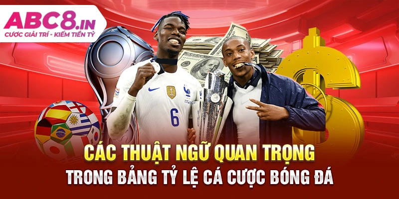 cac-thuat-ngu-quan-trong-trong-bang-ty-le-ca-cuoc-bong-da