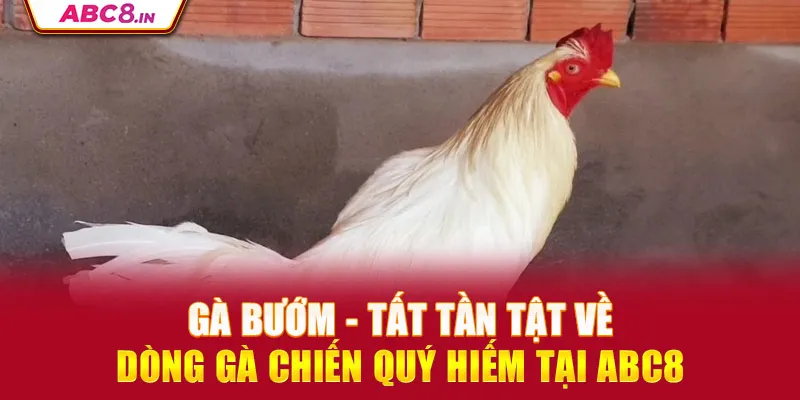 ga-buom-tat-tan-tat-ve-dong-ga-chien-quy-hiem-tai-abc8_6_11zon